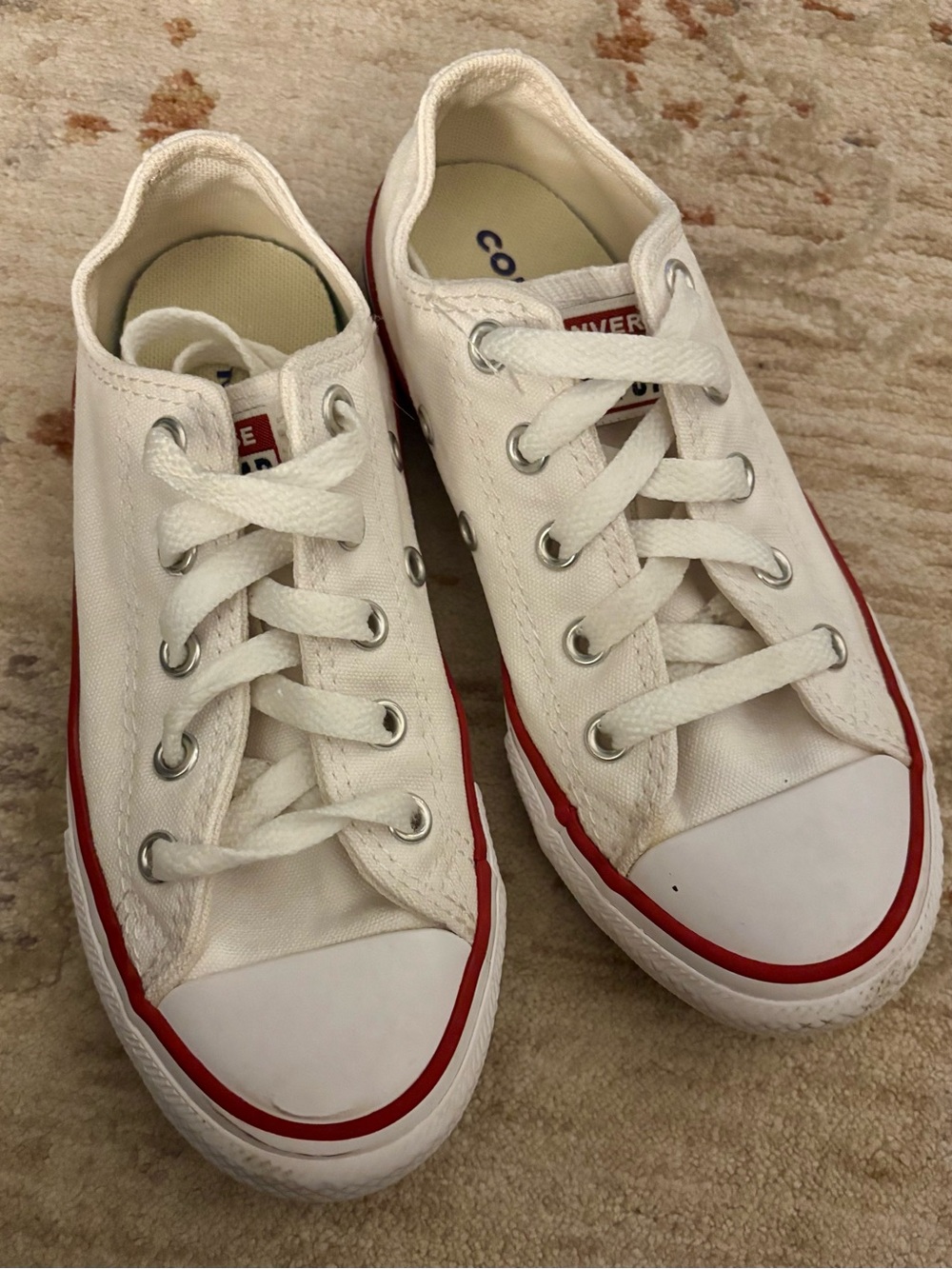 Converse All Star White Low Top Sneaker